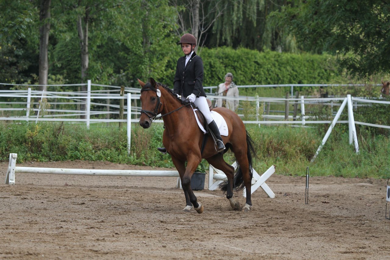 Bild 190 - WBO-Turnier am 18.9.11
